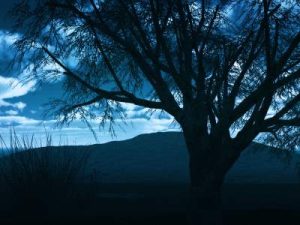 Hillis_Pugh_Awakening_Meditation