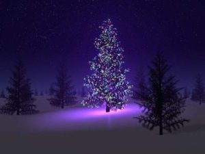 Hillis_Pugh_christmas_love