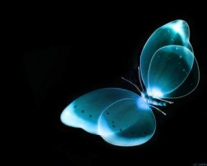 Hillis_Pugh_Cocoon